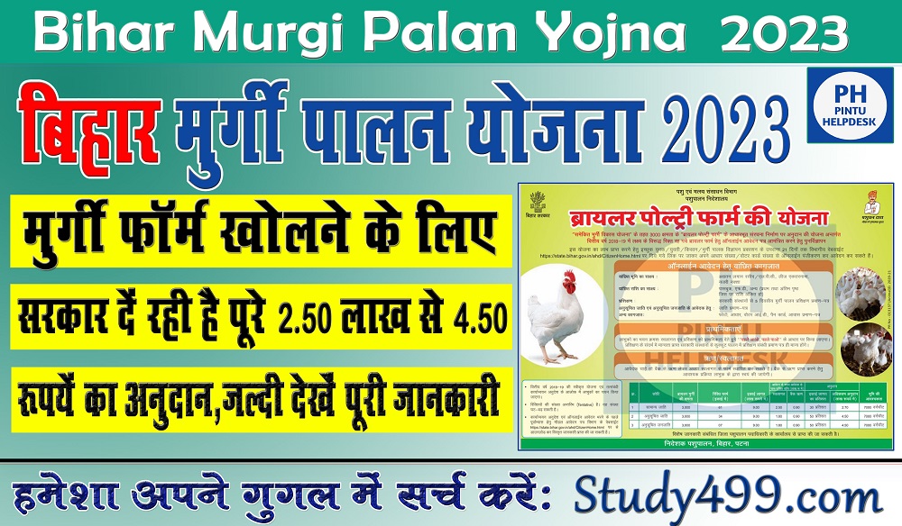 Bihar Murgi Palan Yojana 2023 || Bihar Poultry Farm Yojana 2023 , बिहार मुर्गी पालन योजना से कमाए लाखो रुपये ऐसे करे ऑनलाइन आवेदन